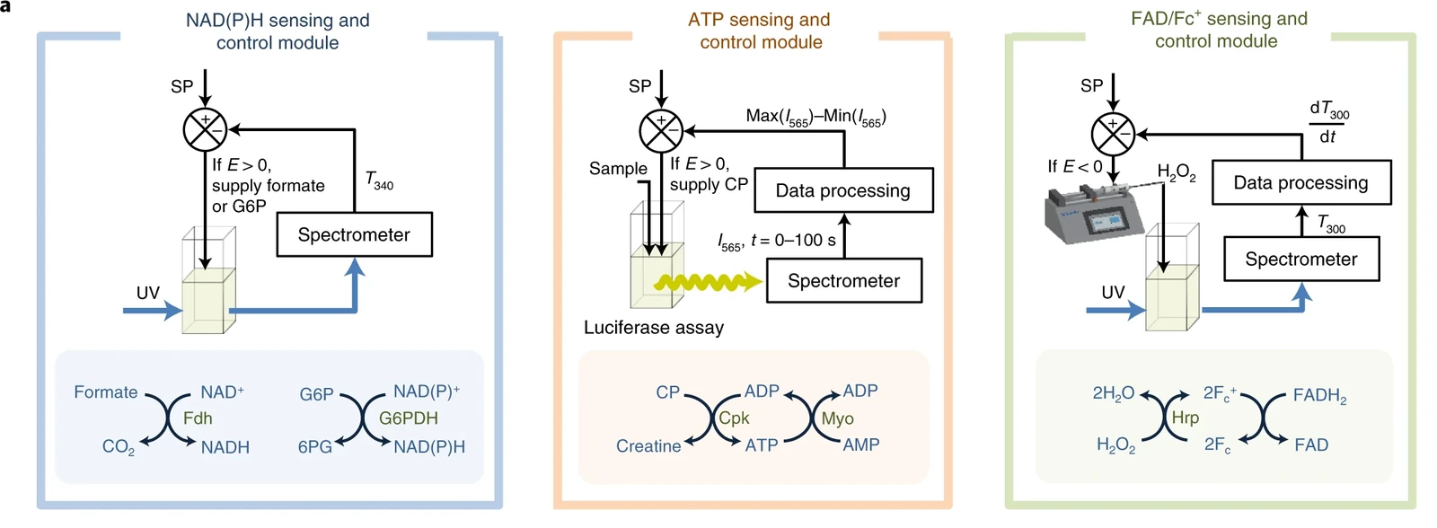 Three opto-sensing and control modules for NAD(P)H, ATP and FAD/Fc+, each reading a cofactor by its optical signal and feeding substrate back to hold it at a setpoint.